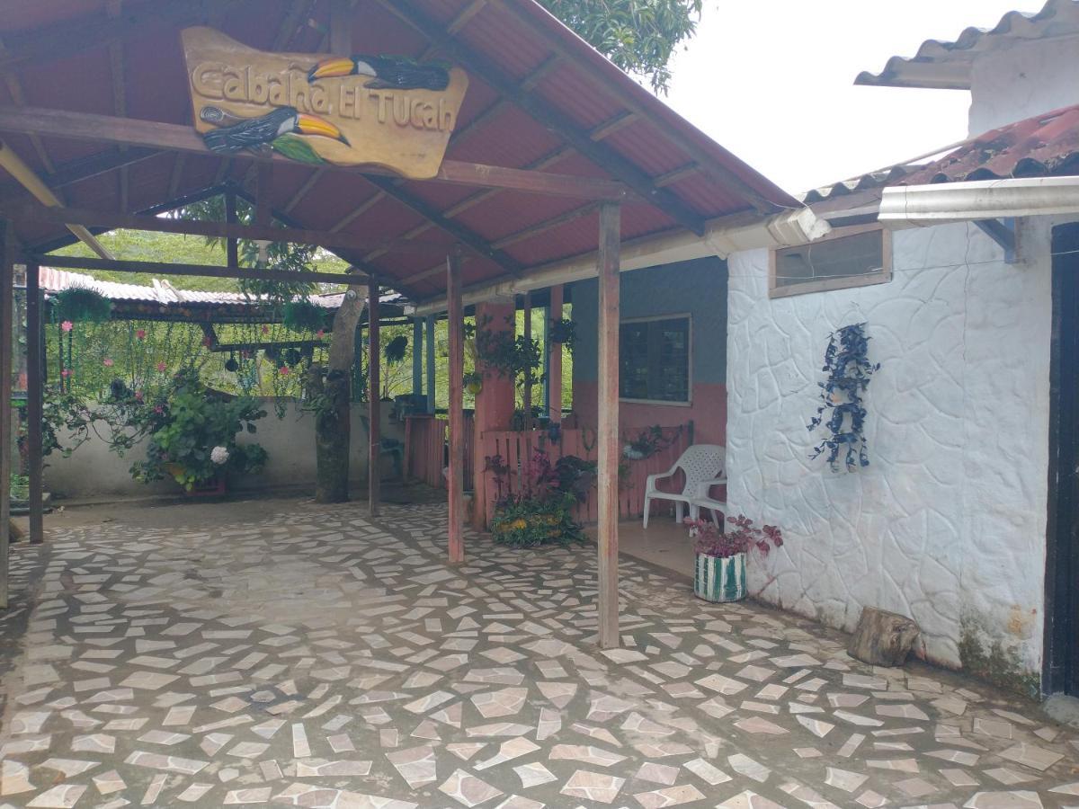 Cabana El Tucan Minca Exteriér fotografie